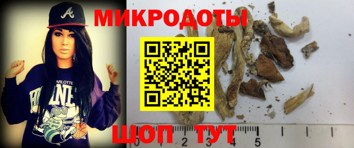 Галлюциногенные грибы MAGIC MUSHROOMS  закладка  Сатка  Вход с VPN 